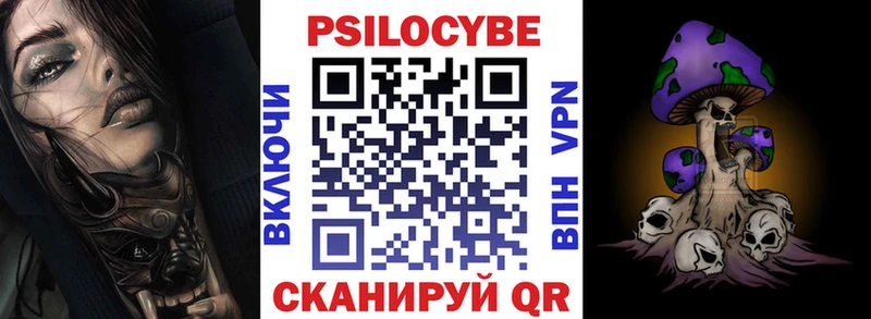 Псилоцибиновые грибы Cubensis Купить Рязань